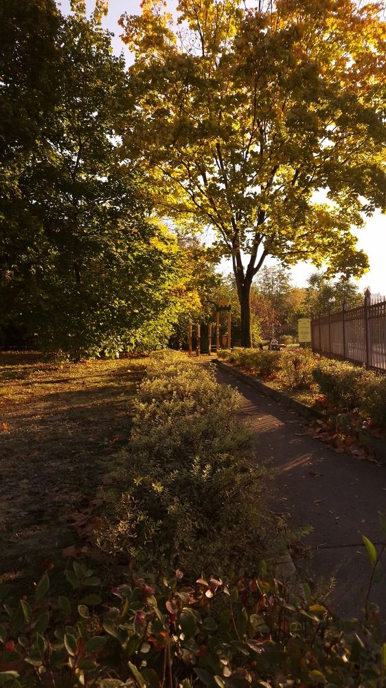 Фотография автора Ольга