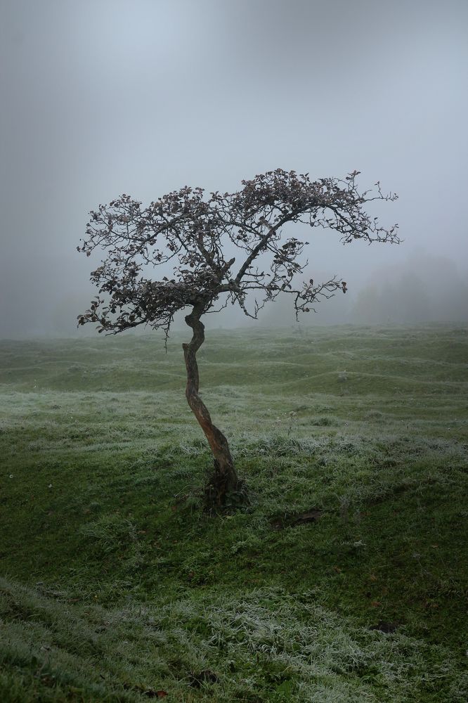 Фотография автора Любовь Харина