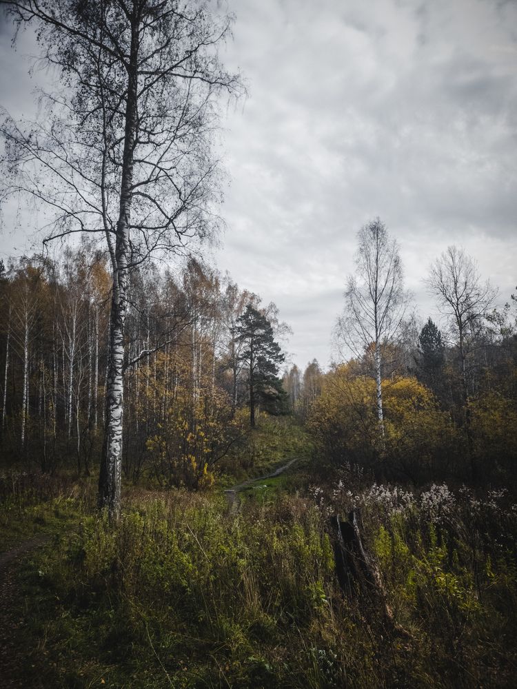 Photograph by Николай Головко