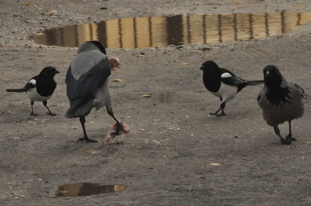 Photograph by Николай Николаевич Леухин