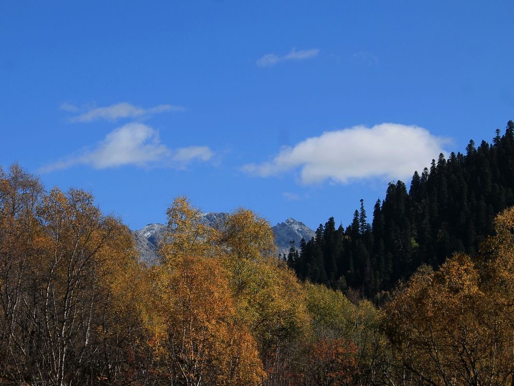 Фотография автора Таня Долгушева