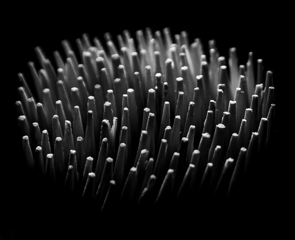 Photograph by Elizaveta Yasyuchenya