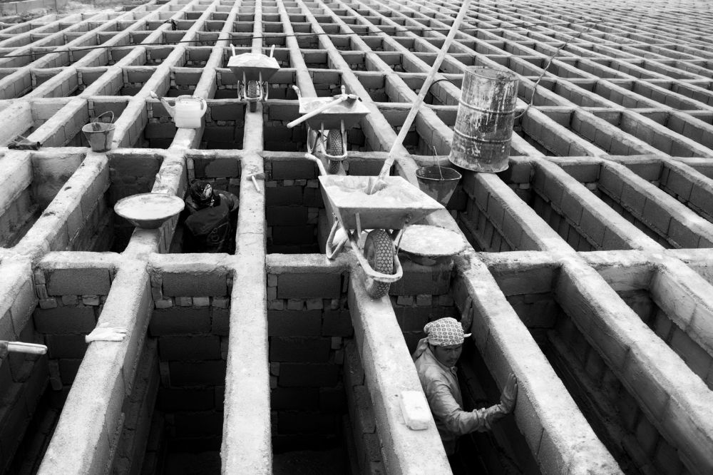 Фотография автора ABOLFAZL MAHMOUDI