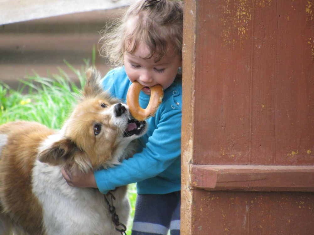 Фотография автора Любовь Харина
