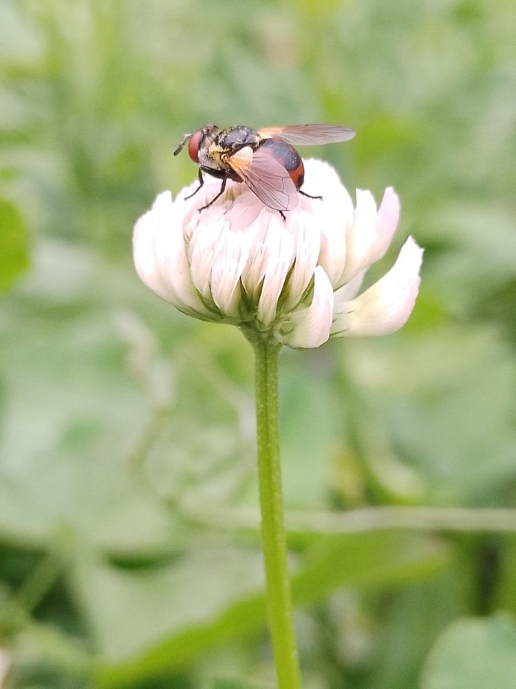 Photograph by Олеся Купча