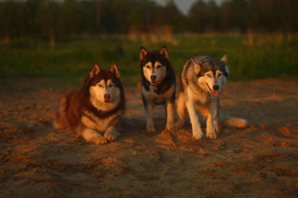 Photograph by Елена