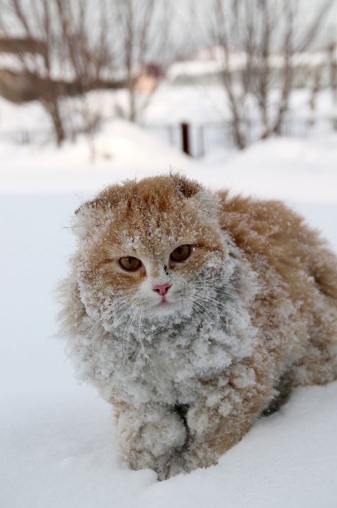 Фотография автора Любовь Харина