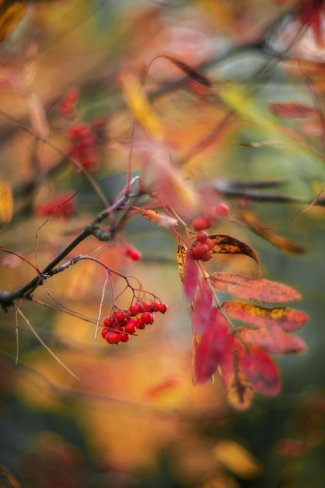 Photograph by Ксения Базарова