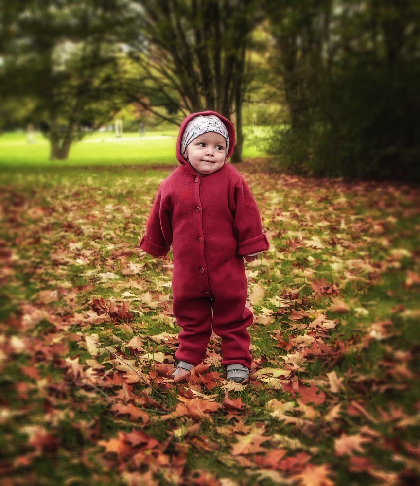 Фотография автора Александр