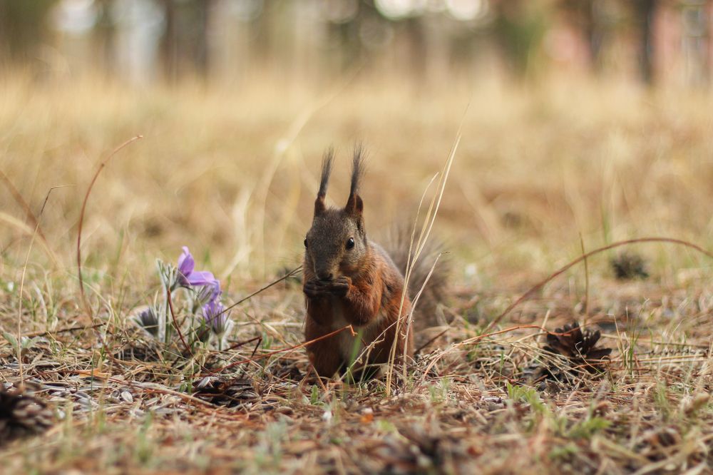 Фотография автора Егор Пешков