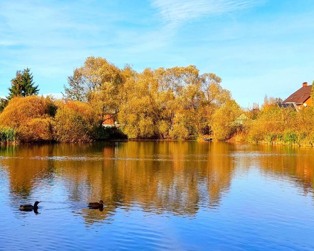 Photograph by Асад Ибадов