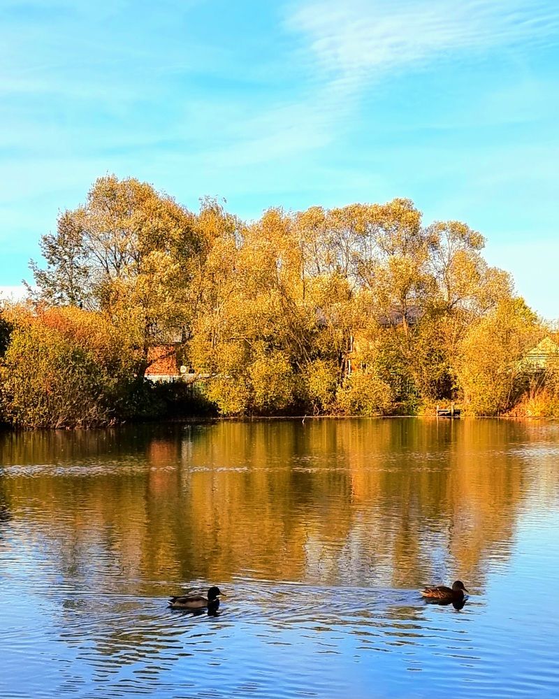 Photograph by Асад Ибадов