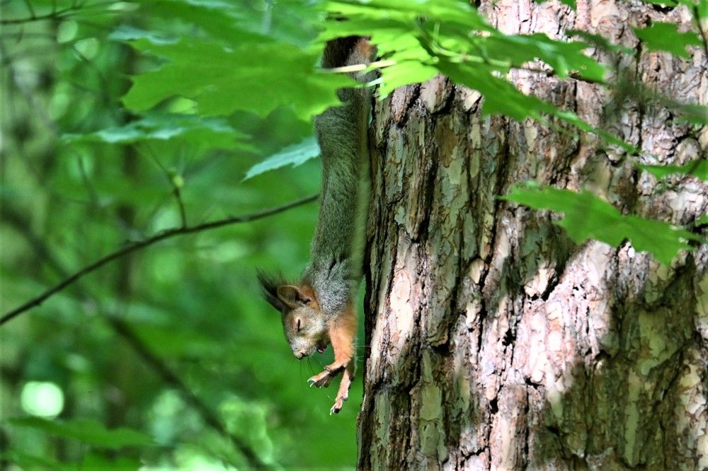 Фотография автора IRINA FILIPPOVA