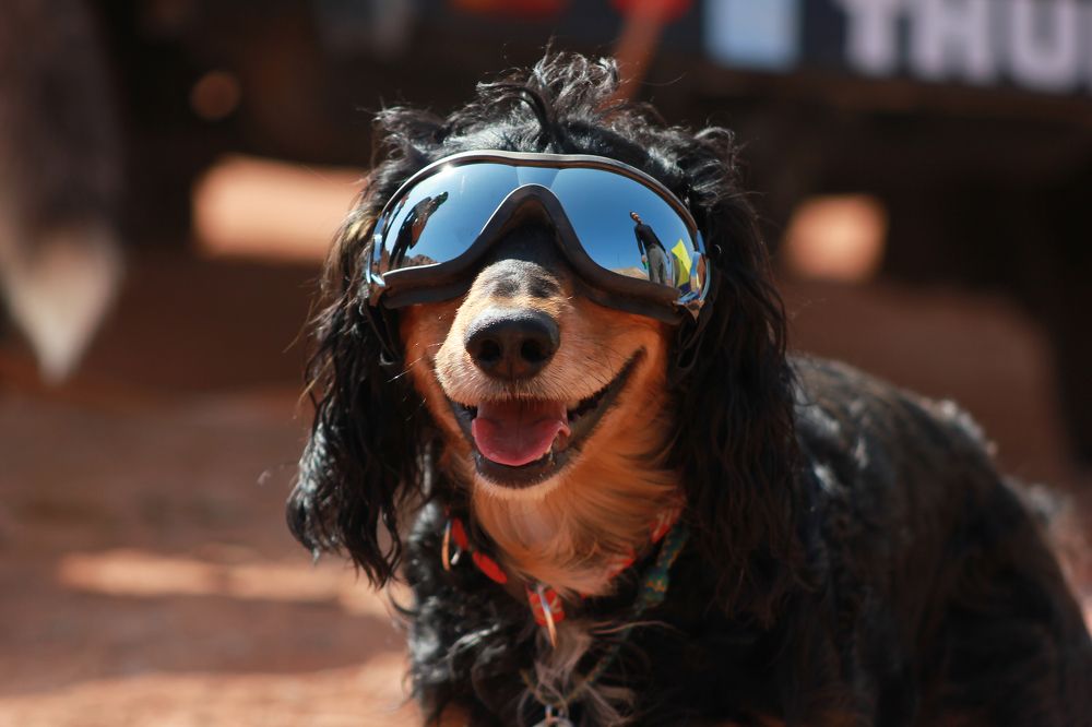 Photograph by Томирис Жаксыгалиева