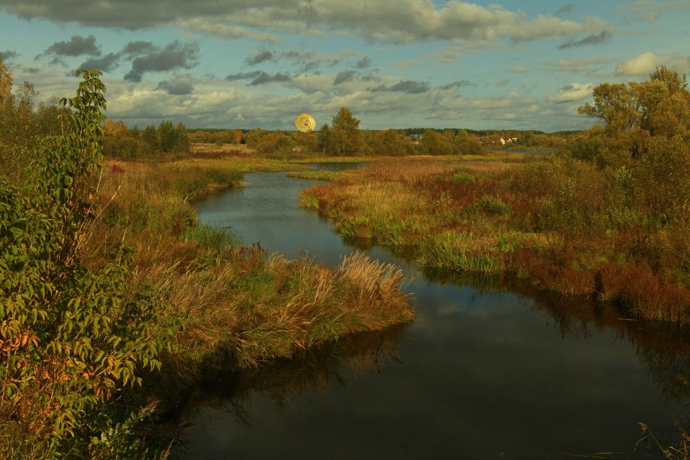 Большое ухо в красках осени