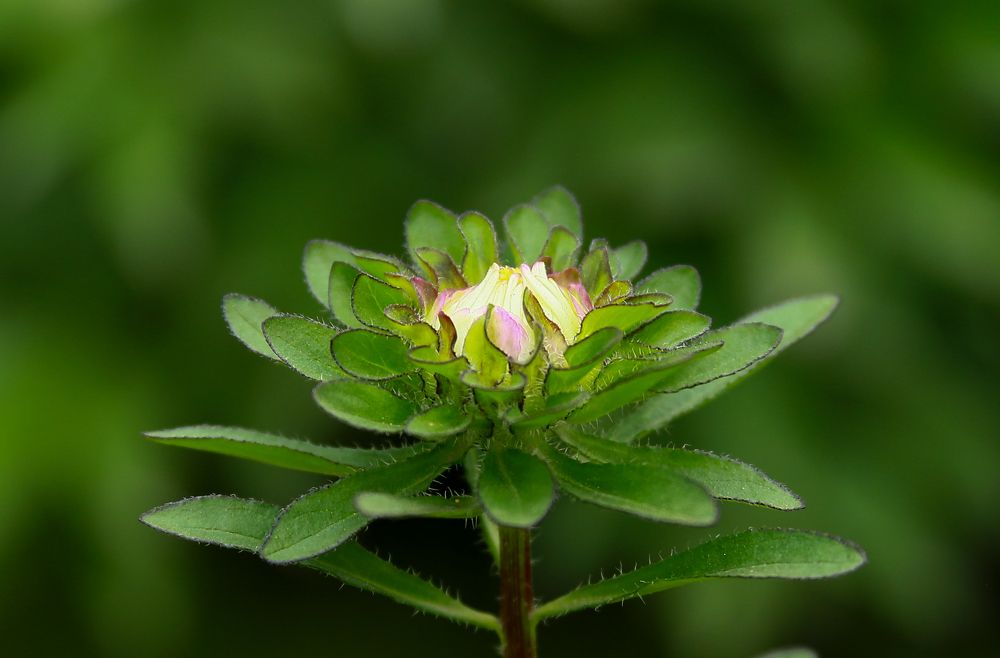 Фотография автора Дмитрий Климов