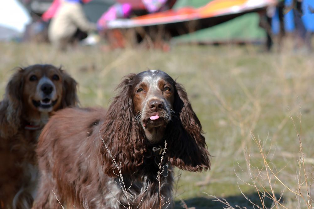 Photograph by Томирис Жаксыгалиева