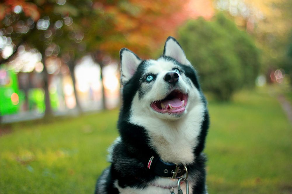 Photograph by Томирис Жаксыгалиева