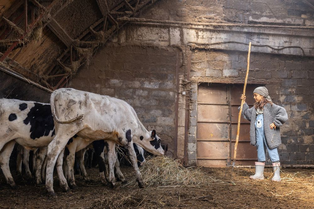 Photograph by Ольга Гамей