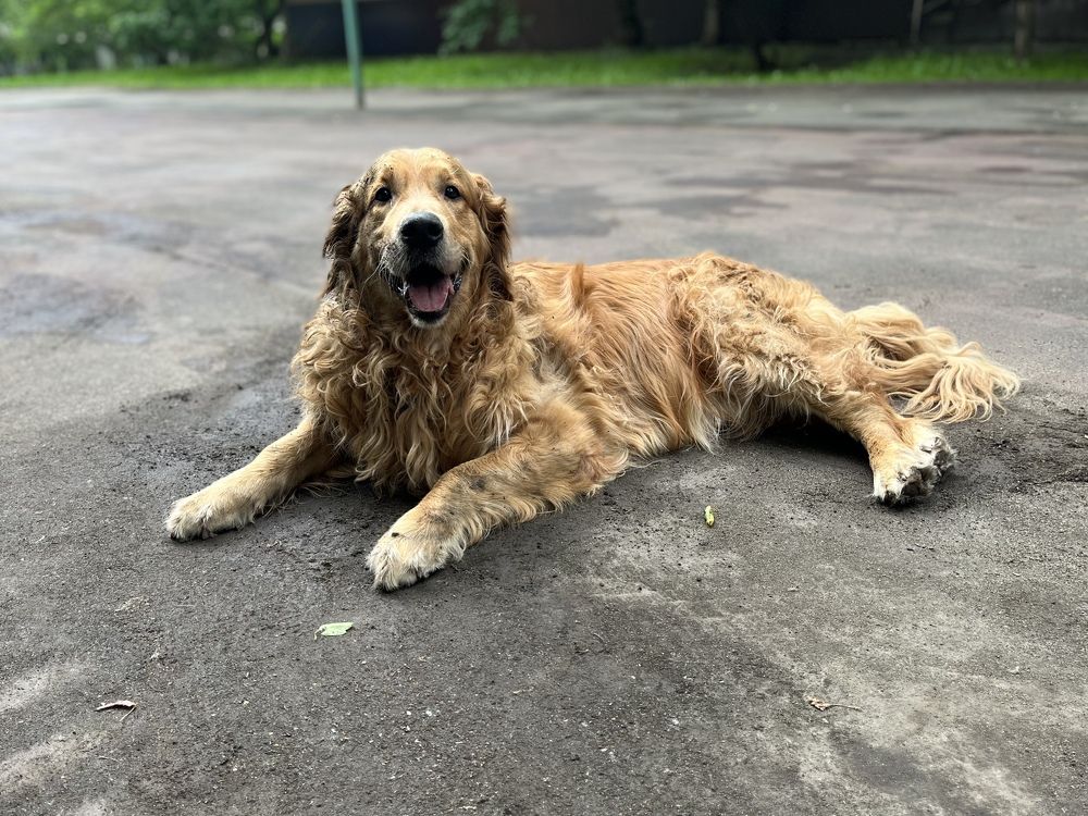 Photograph by Наталья Ермакова