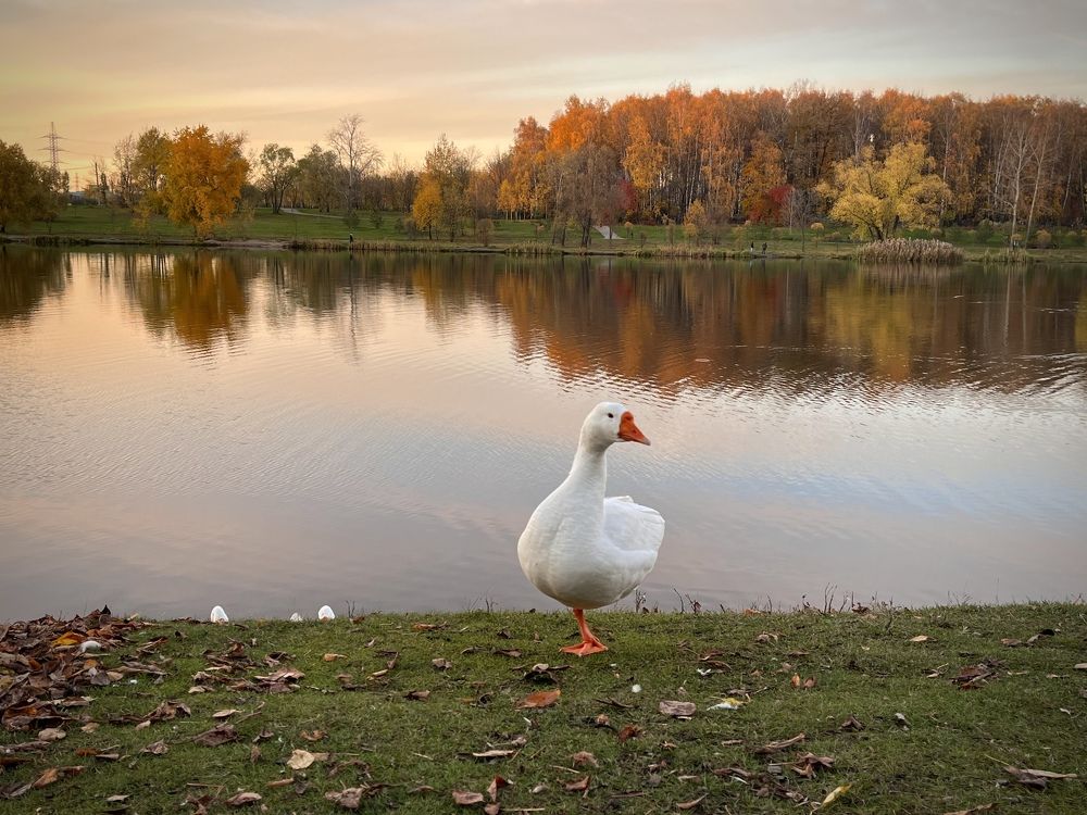 Photograph by Наталья Ермакова