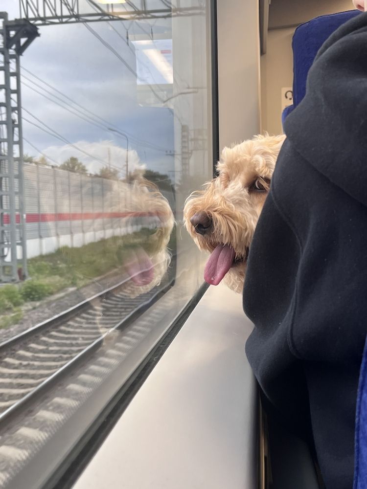 Photograph by Наталья Ермакова