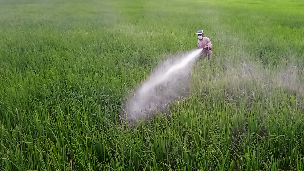 Photograph by mahdi ghanbari