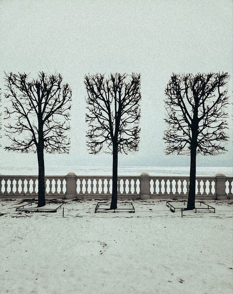 Photograph by Inna Iudina