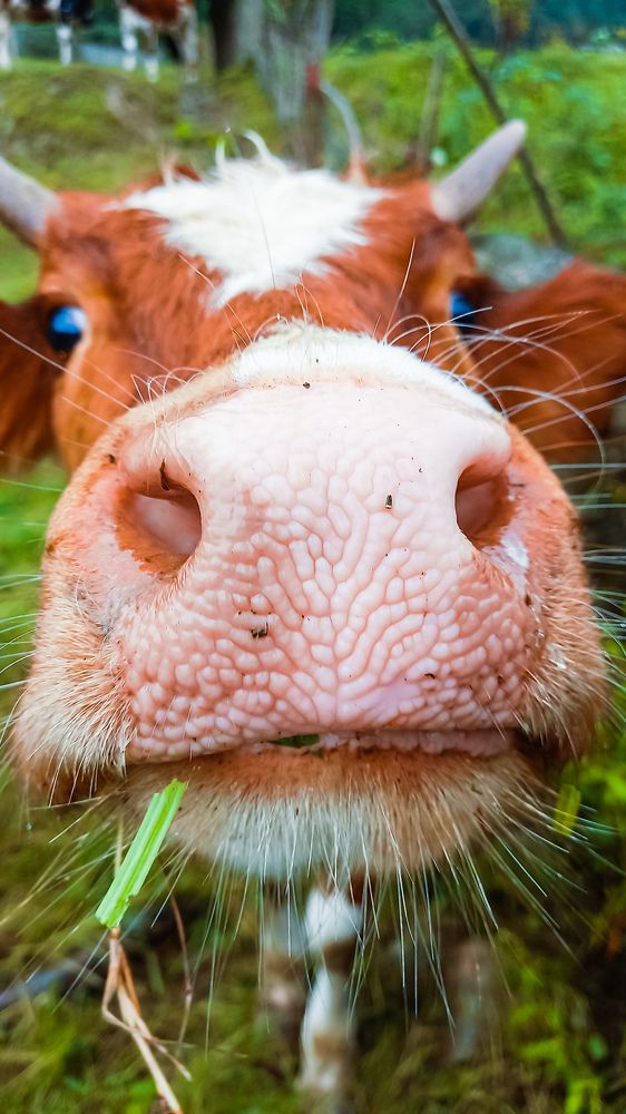 Photograph by mahdi ghanbari