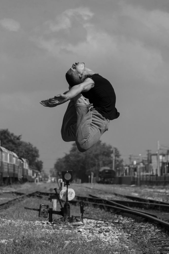 El despertar de un Ave