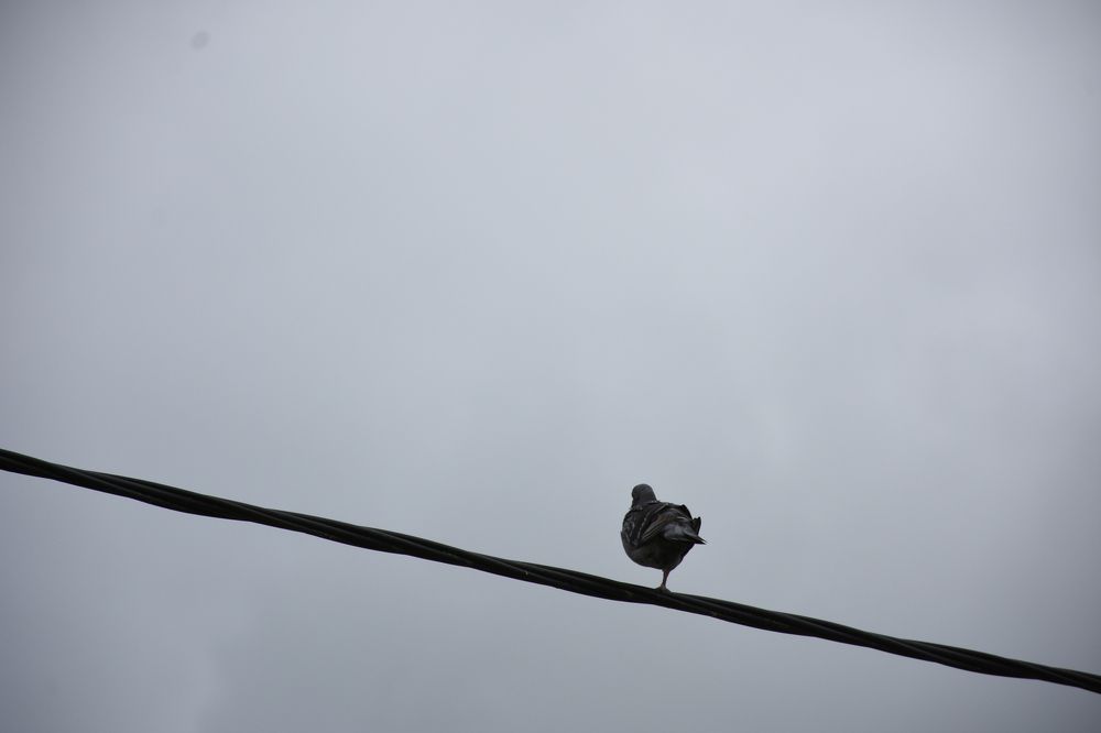 Photograph by Beatriz Games