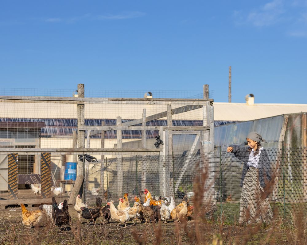 Photograph by Ольга Гамей