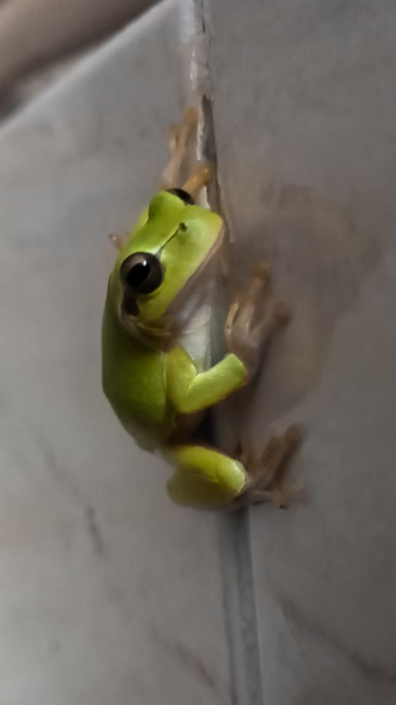 Photograph by mahdi ghanbari