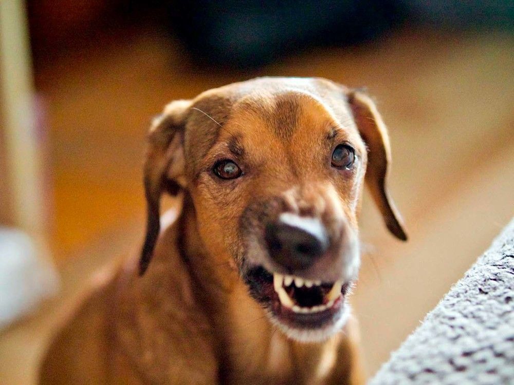 Photograph by Ильнара Радевич