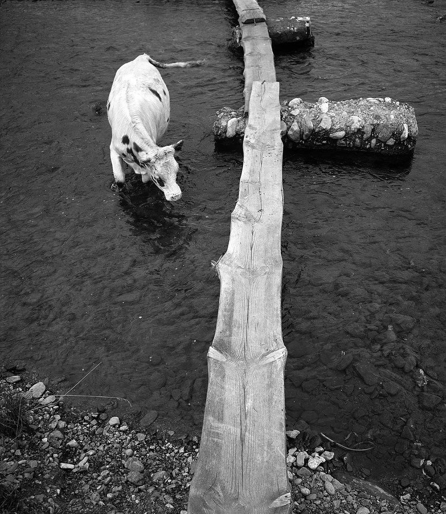 Photograph by Дмитрий Ткаченко