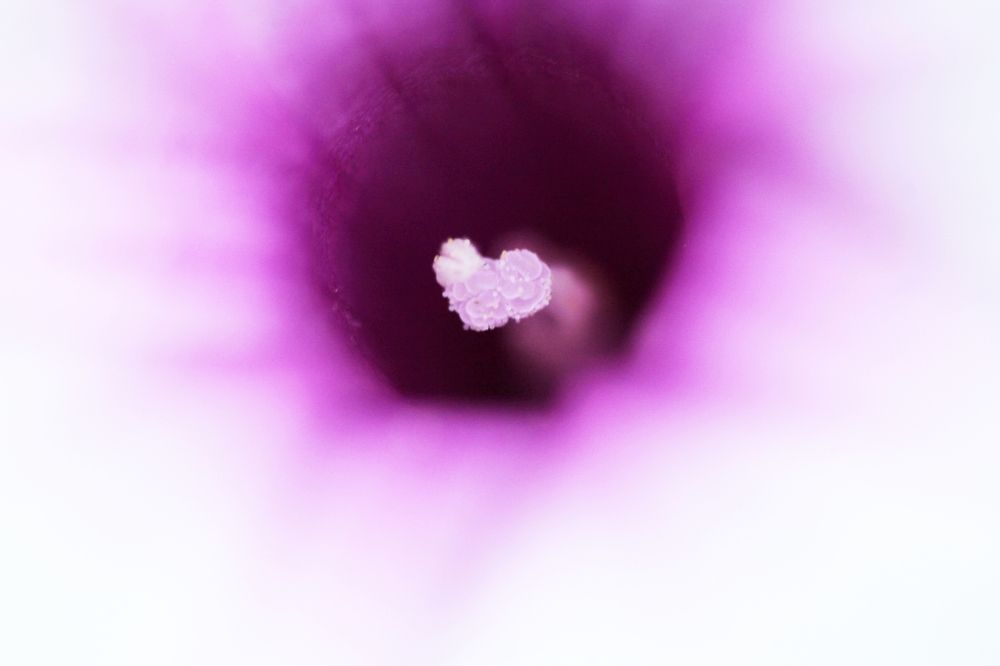 Photograph by Pheap Sophinh