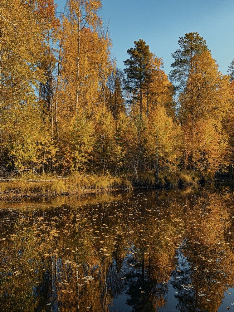 Photograph by Мария Василенко