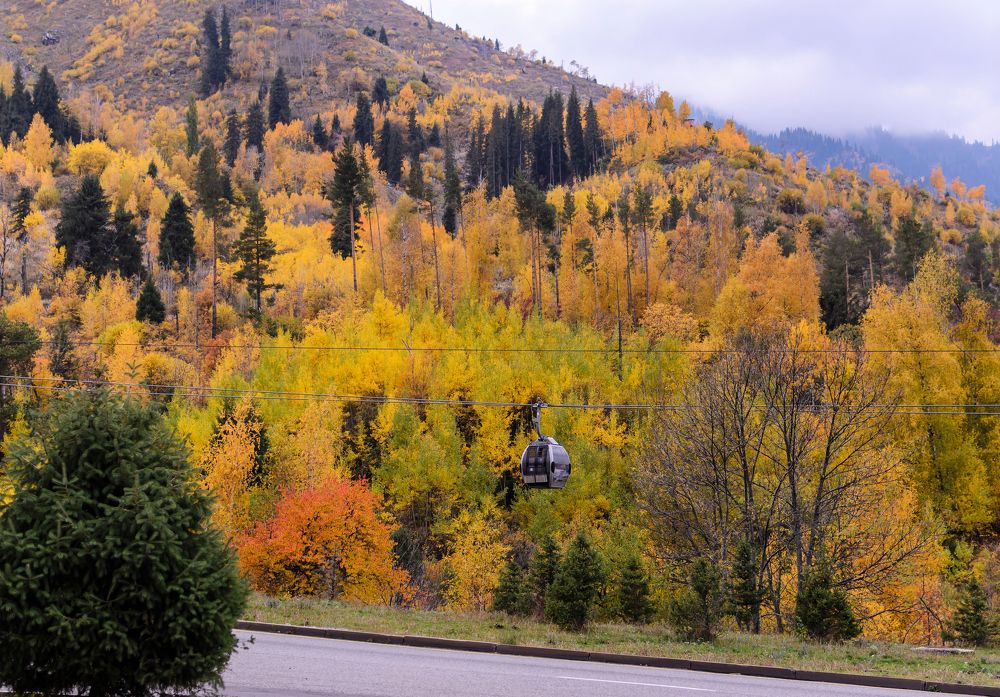 Photograph by Farkhad