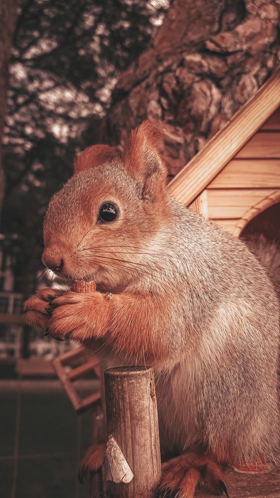 Photograph by Екатерина Мурсынина