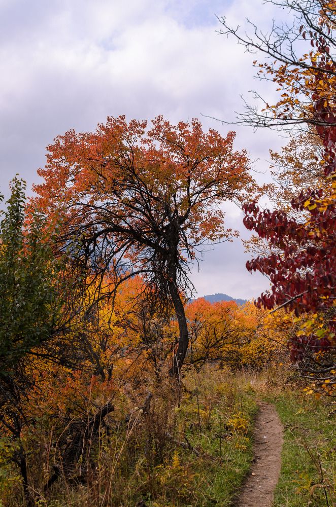 Photograph by Farkhad