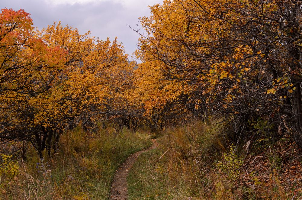 Photograph by Farkhad