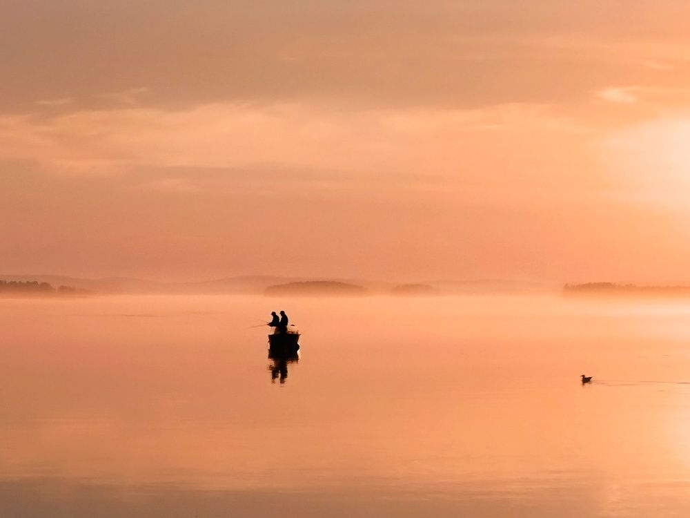 Photograph by Владимир Остапенко
