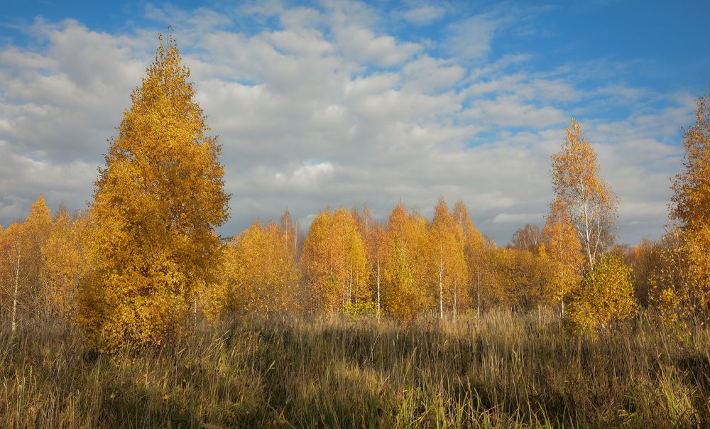 Пейзажи золотой осени