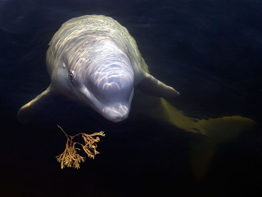 Photograph by Владимир Остапенко