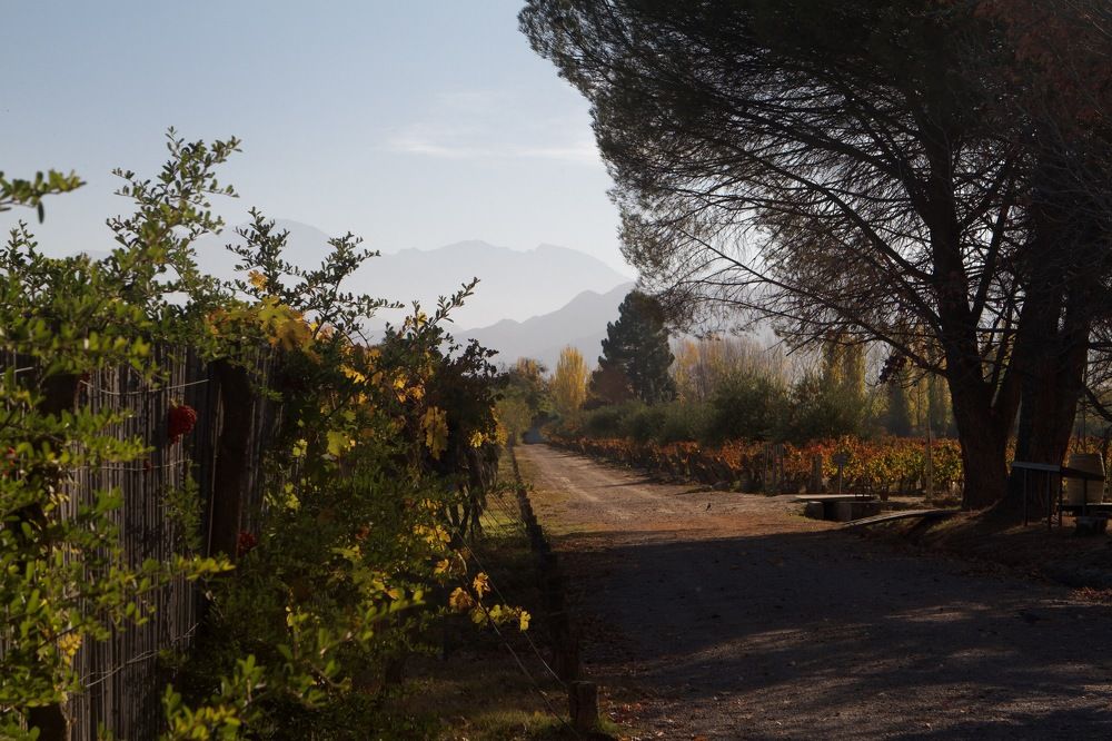 Photograph by Igor Kalassa