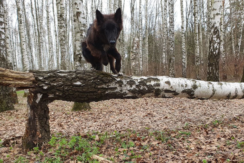 Фотография автора Надежда Лисицына