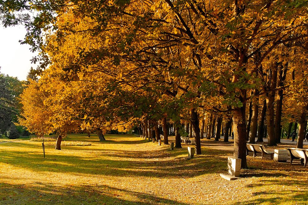 Photograph by Татьяна Бравая