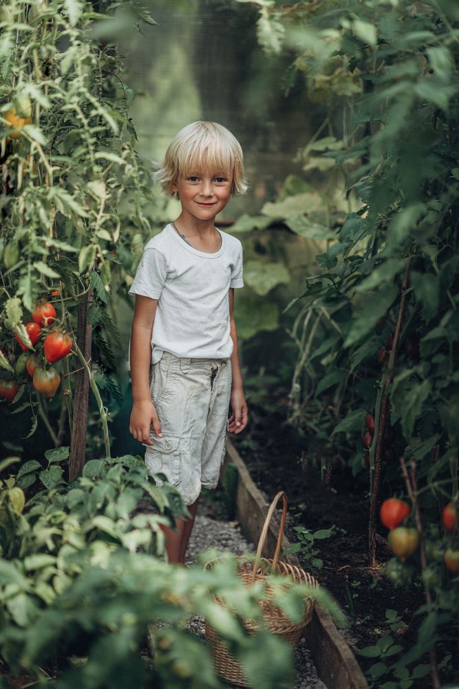 Главный помощник