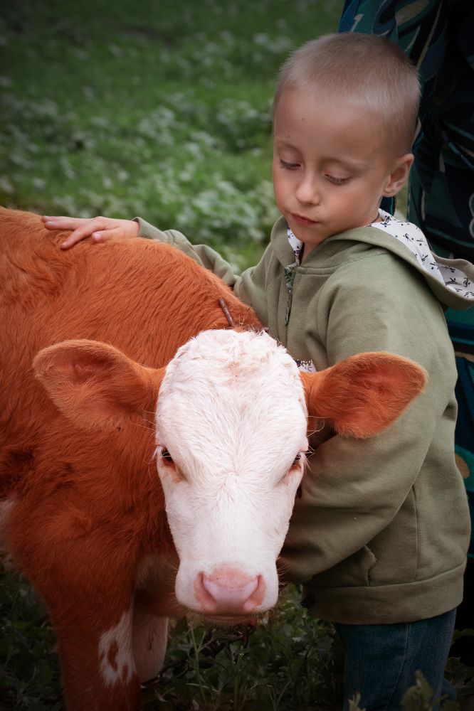 Photograph by Наталья Зверева