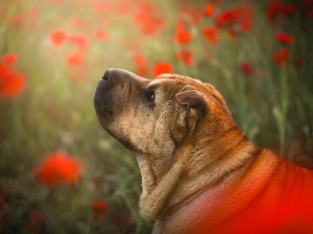 Photograph by Cristina Rodelas Rodríguez